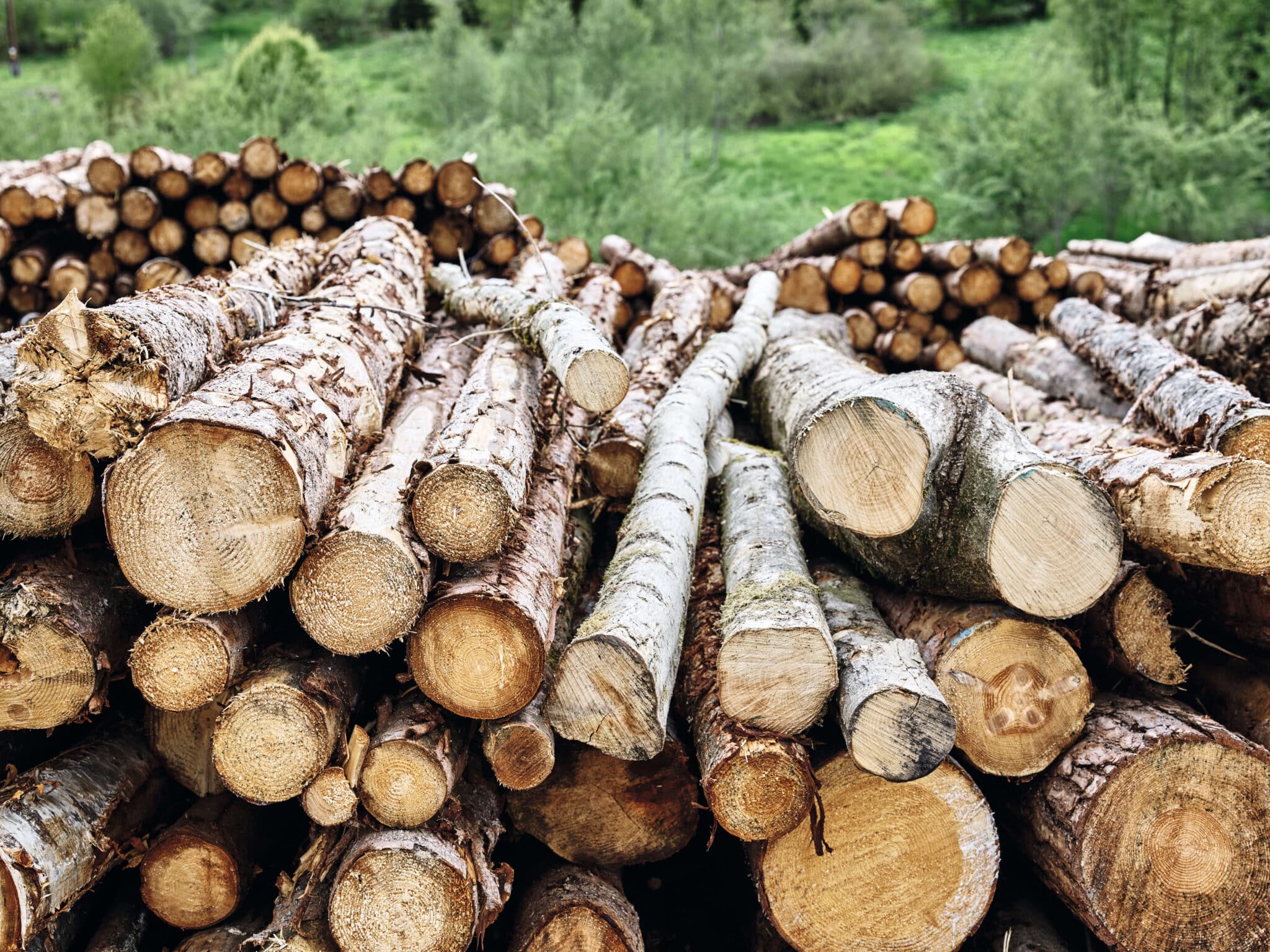 02PI CO NA Sustainability Report Roundwood Log Yard 01c